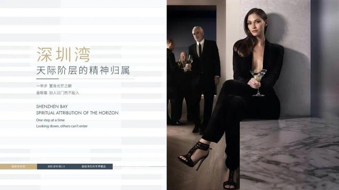 2024(公告）恒裕深圳湾最新楼盘简介-房价-户型-配套-优缺点(图11)