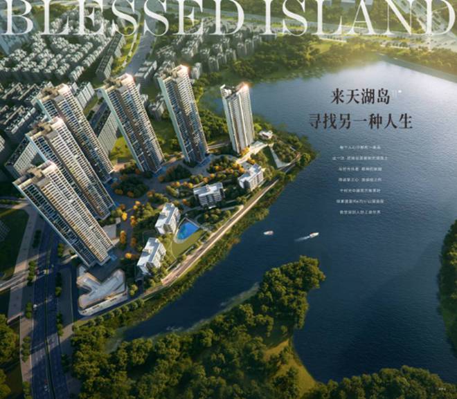 2024(公告）天湖岛最新楼盘简介-房价-户型-配套-优缺点分析(图3)