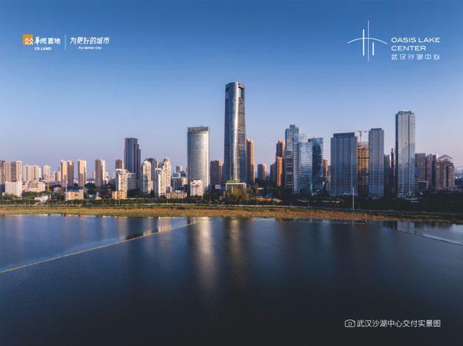 武汉沙湖中心售楼中心→售楼处电线首页→楼盘百科详情(图3)
