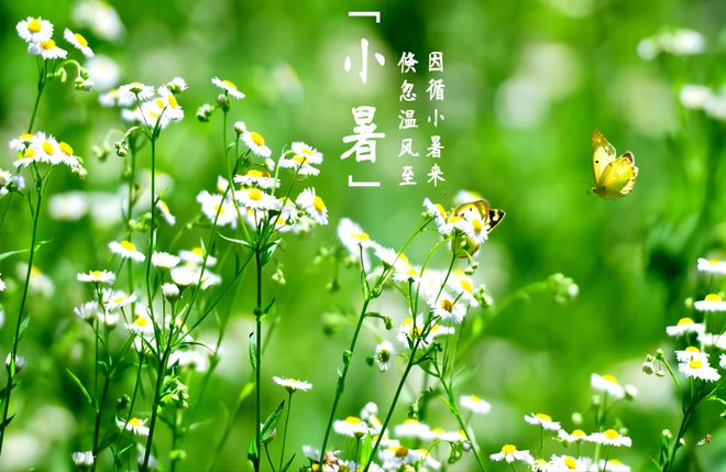 三伏天40天防晒攻略：大族粤铭激光科技助力防晒神器制造(图1)